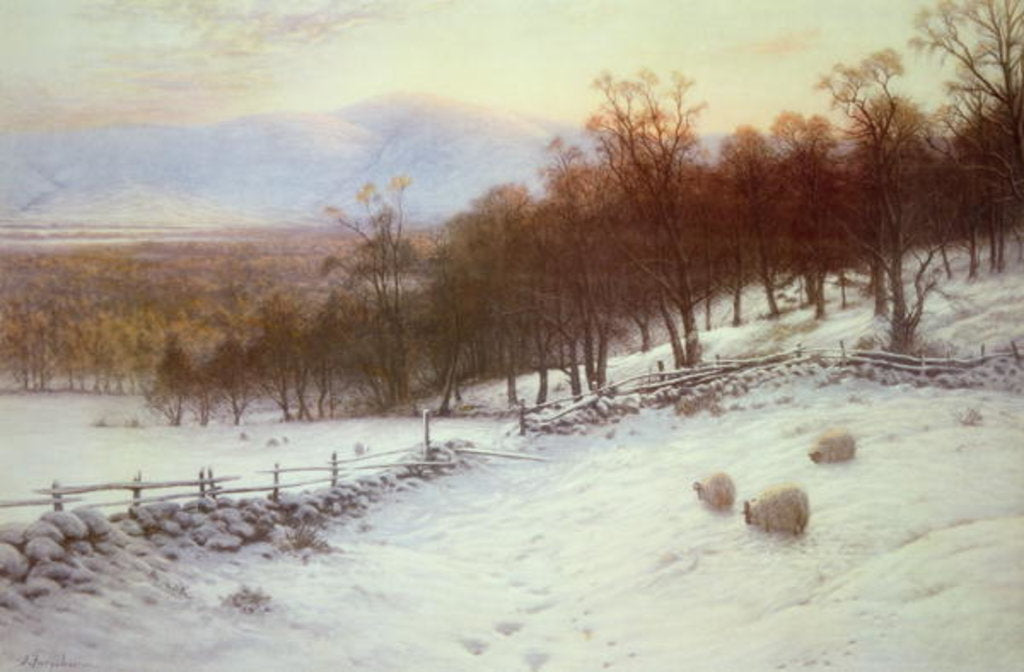 Detail of Snow Covered Fields with Sheep by Joseph Farquharson