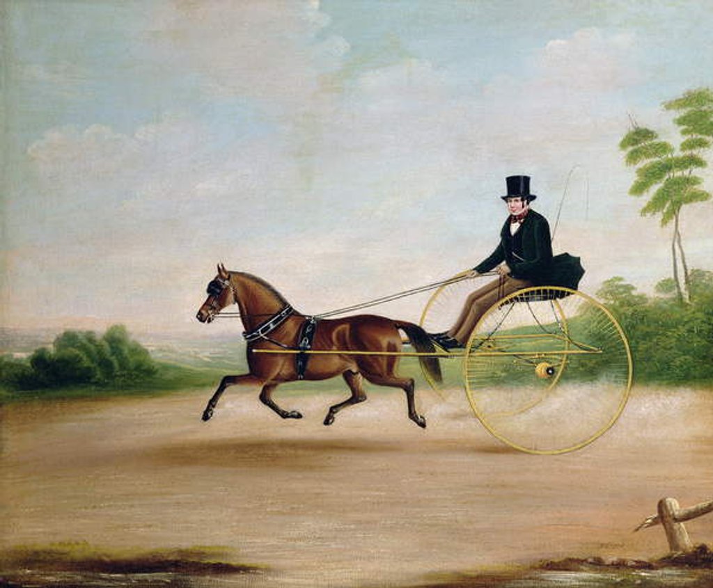 Detail of Study of a gentleman in a gig by Joseph Clark