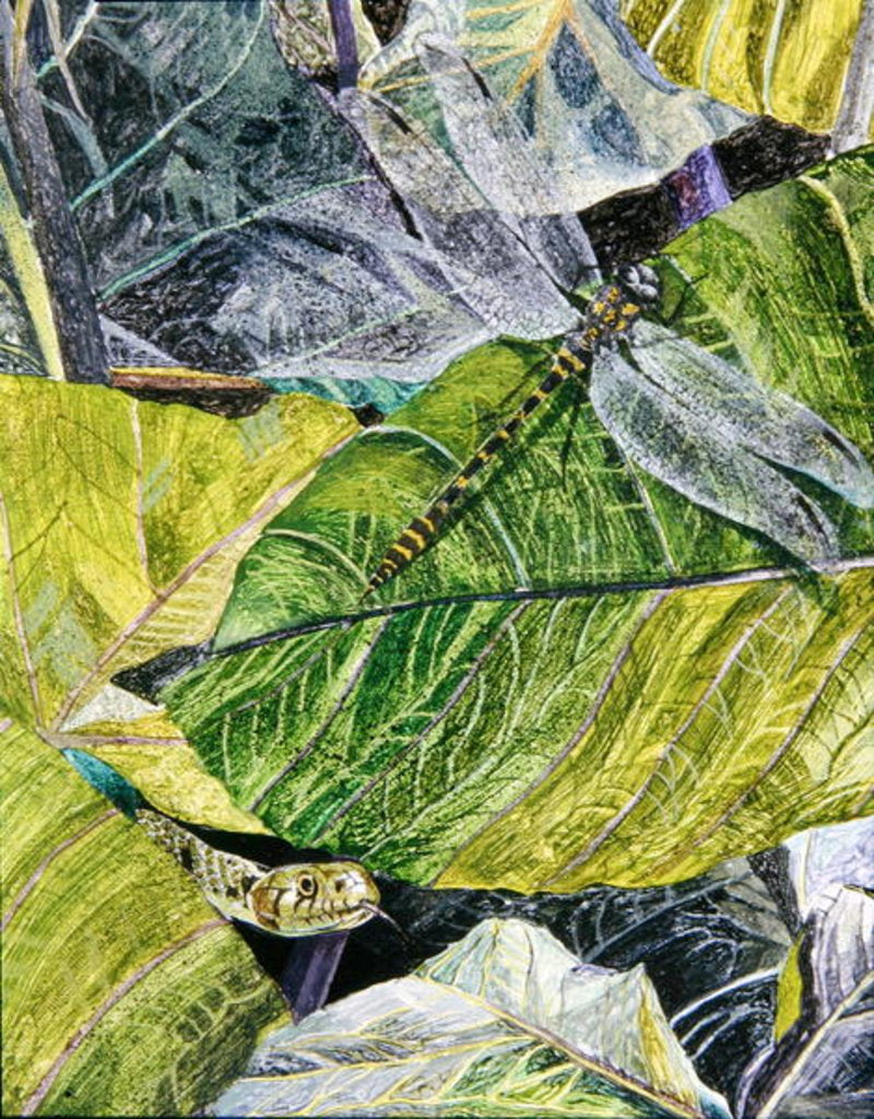 Detail of Water Snake and Dragon-fly, 1971 by James Reeve
