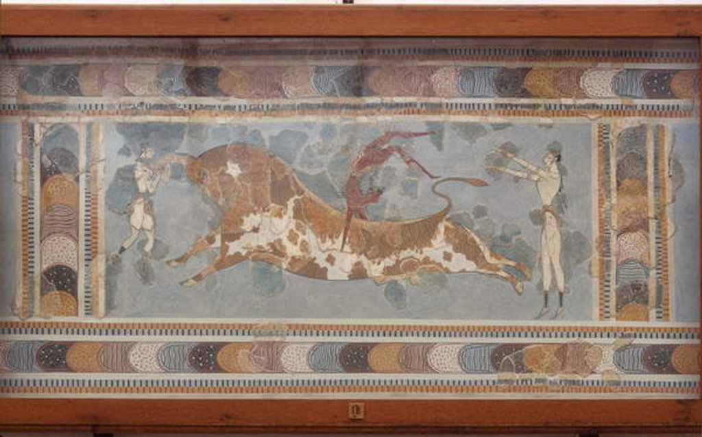 Detail of Bull fighting fresco, from Knossos, painted around 1550-1450 BC by Minoan Minoan