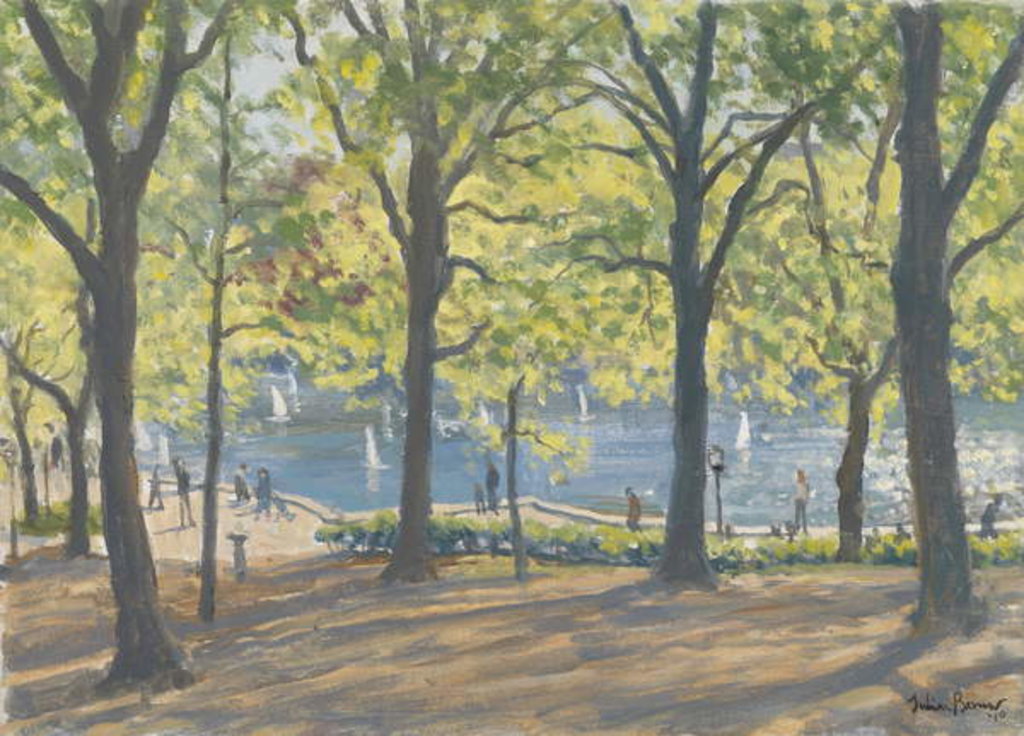 Detail of Central Park,New York, 2010 by Julian Barrow