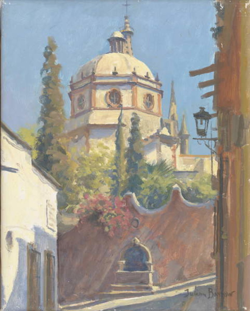 Detail of San Miguel Allende, 2005 by Julian Barrow