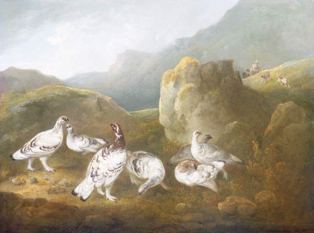 Detail of Ptarmigan in a Mountainous Landscape with Sportsmen and Dogs Beyond by Philip Reinagle