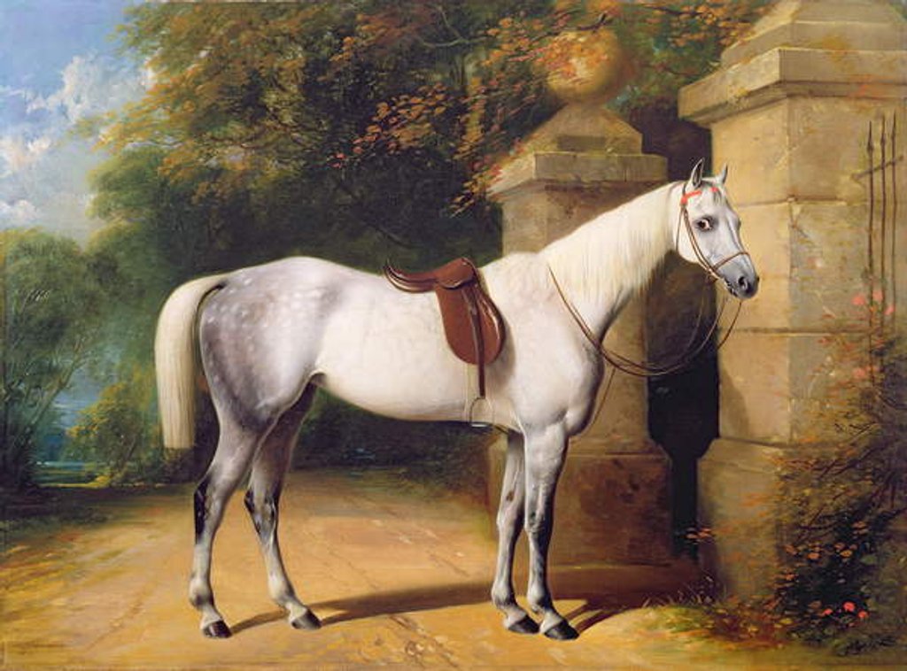 Detail of A Grey Horse by Park Gates, 1851 by Henry Barraud