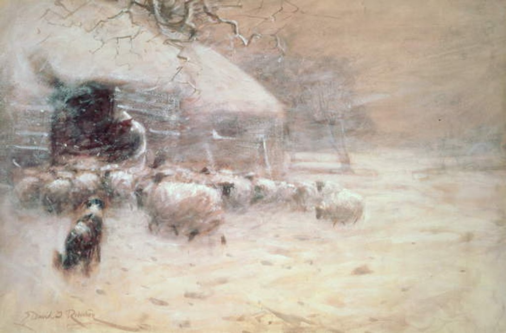 Detail of Sheep - Safe Haven by David Robertson