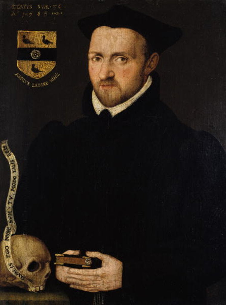 Detail of Portrait of Ralph Lumley, 1583 by Richard Stevens