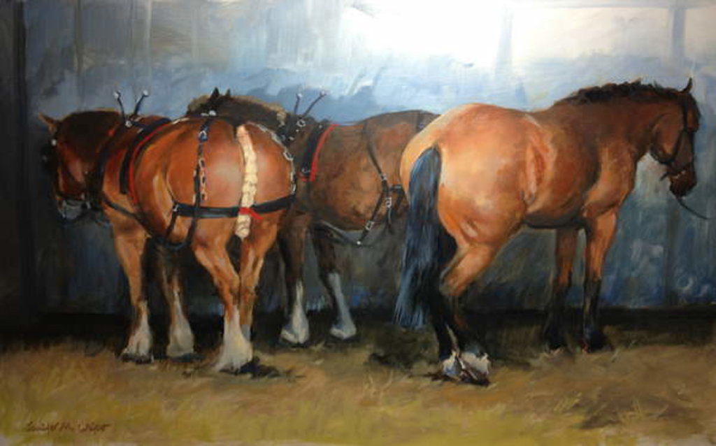 Detail of Horses - Heavy Horses - Chertsey Show, 2012 by Jennifer Wright