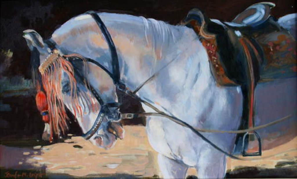Detail of Marwari Horse, Rajasthan, 2010 by Jennifer Wright