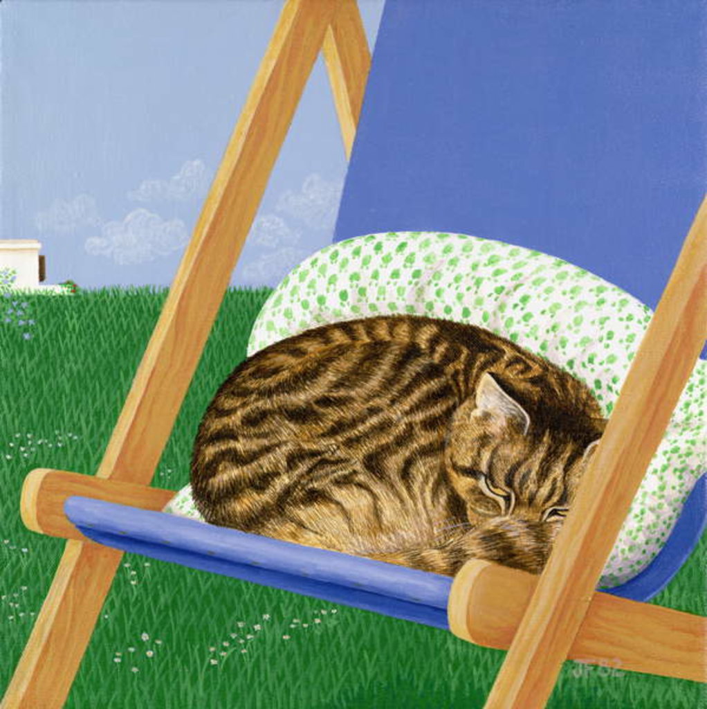 Detail of Tabby cat asleep in a deck chair by Joan Freestone
