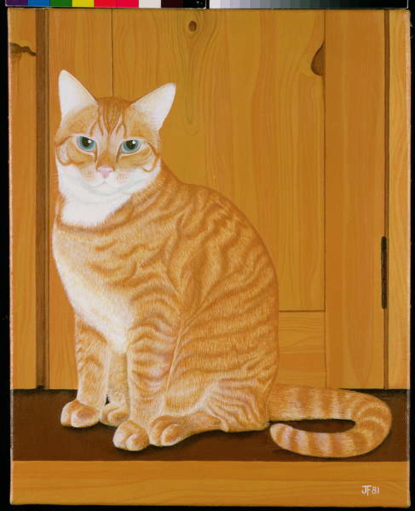 Detail of Marmalade cat by a door by Joan Freestone