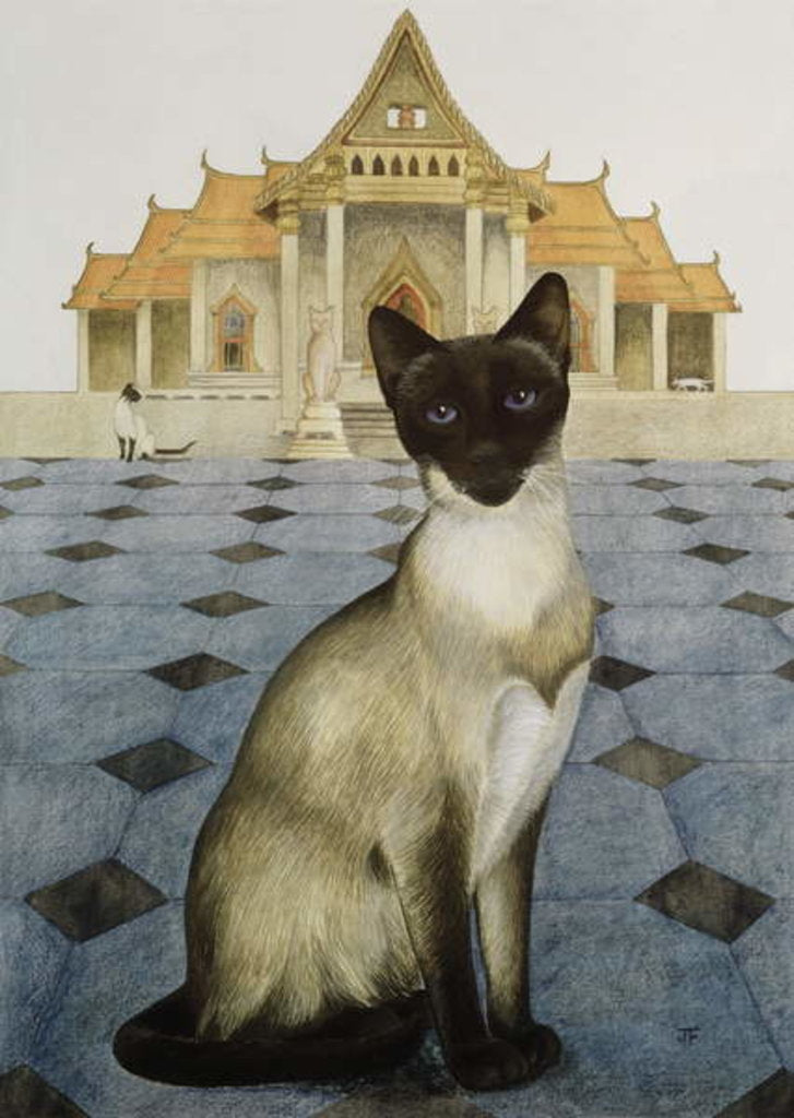 Detail of Siamese by Joan Freestone