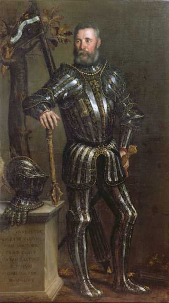 Detail of Portrait of Pase Guarienti, Venetian knight and noble by Domenico Brusasorci