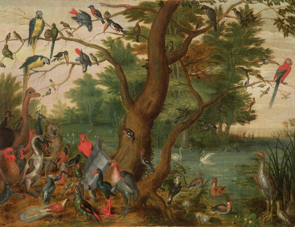 Detail of Concert of Birds by Jan van the Elder Kessel