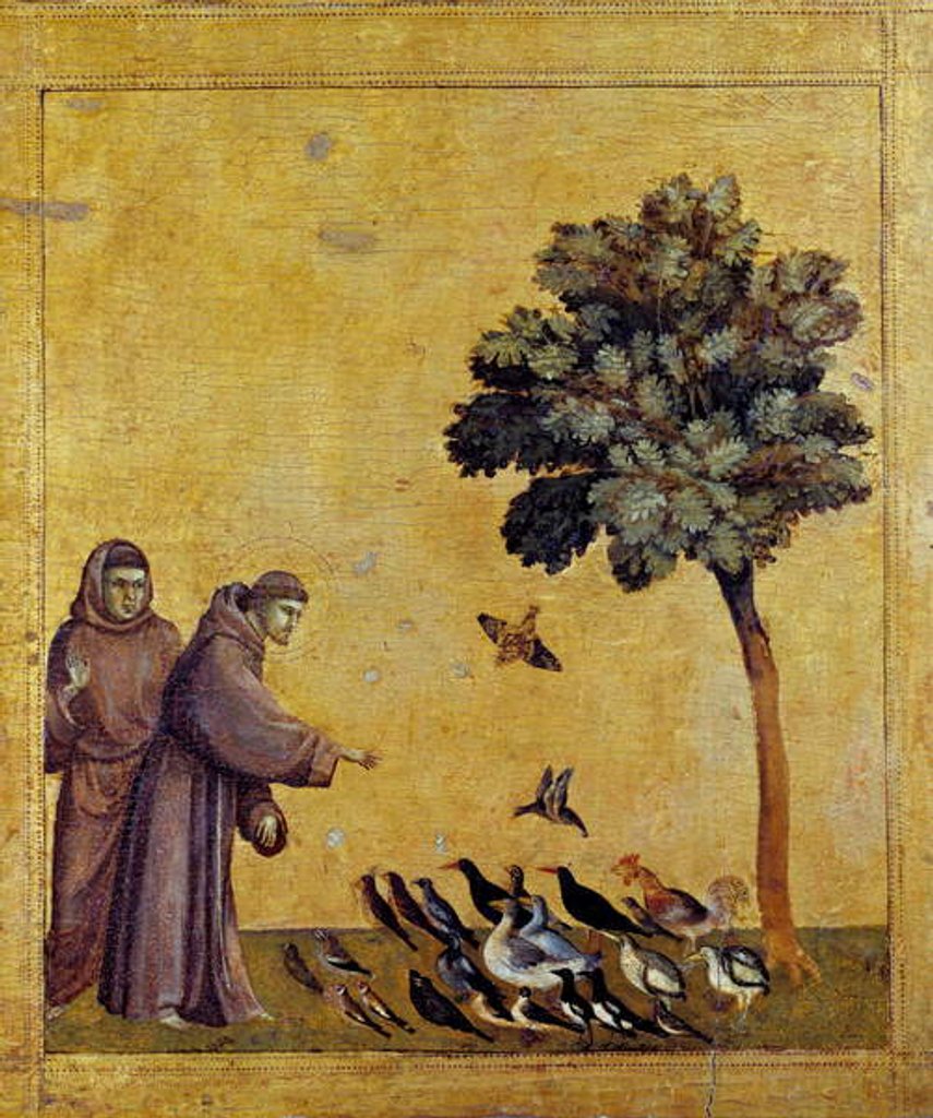 Detail of Saint Francois of Assisi preaching to the birds by Giotto
