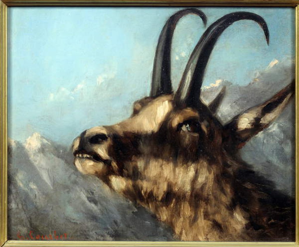Detail of Head Of Chamois, 19th century by Gustave Courbet