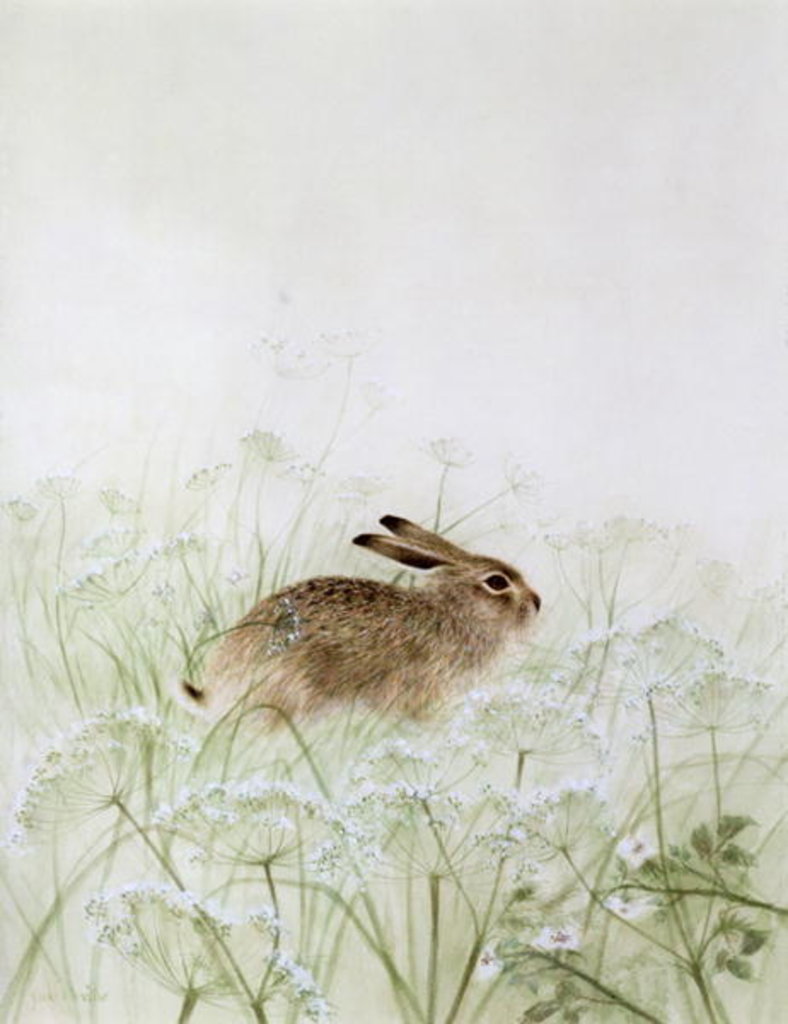 Detail of Rabbit by Jane Neville