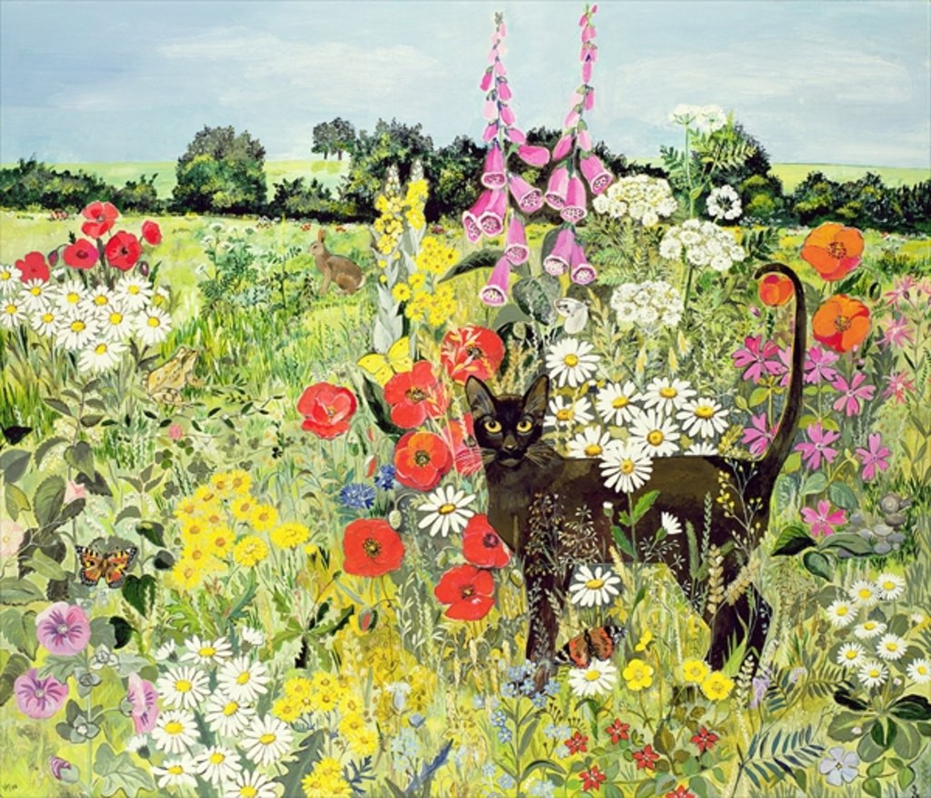 Detail of Summer Cat by Hilary Jones