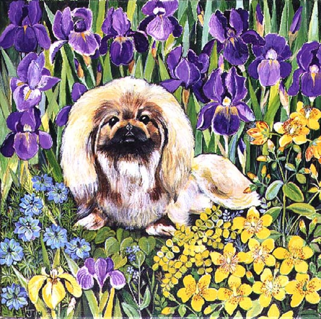 Detail of Wilma by Hilary Jones