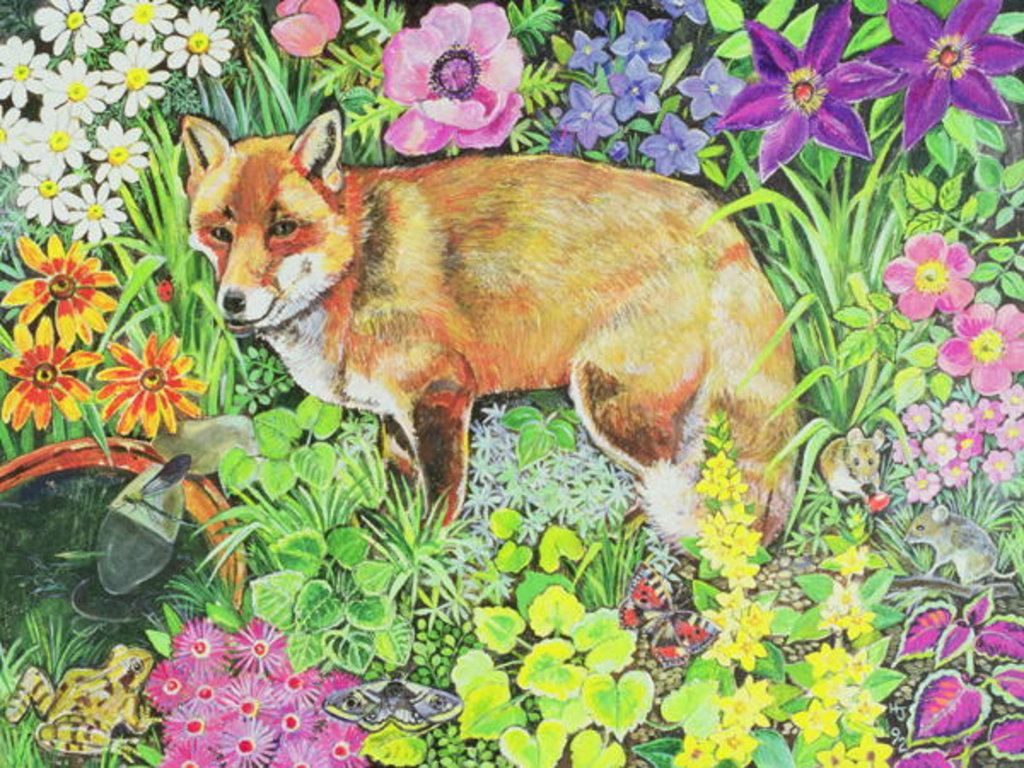 Detail of The Barnet Fox by Hilary Jones