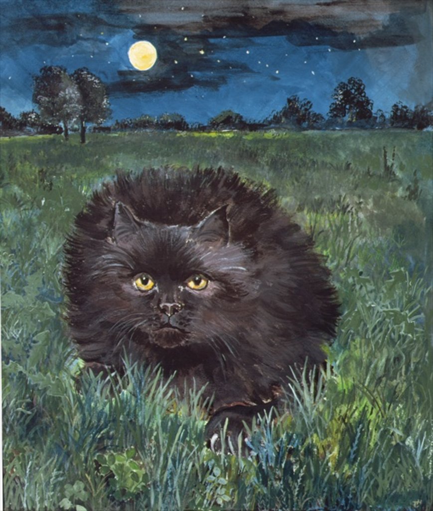 Detail of The Cat and the Moon by Hilary Jones