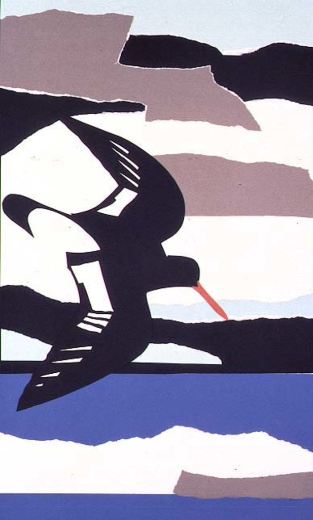 Detail of Oystercatcher by John Wallington