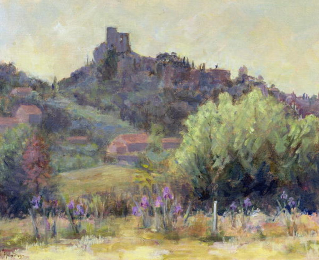 Detail of Vaison La Romaine, Vaucluse by Karen Armitage