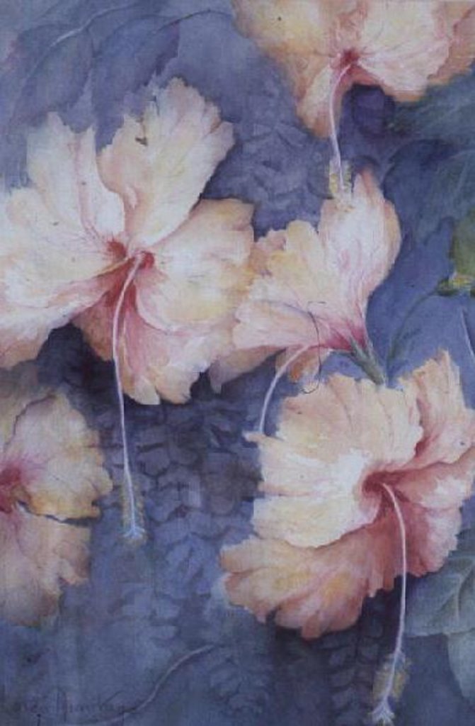 Detail of Hibiscus, apricot by Karen Armitage