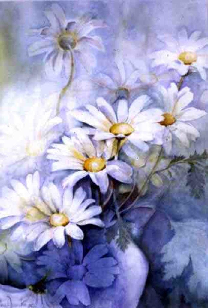 Detail of Marguerites, Alexandria by Karen Armitage
