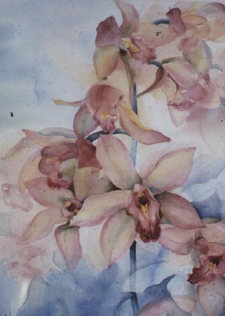 Detail of Orchid Cymbidium Ramley by Karen Armitage