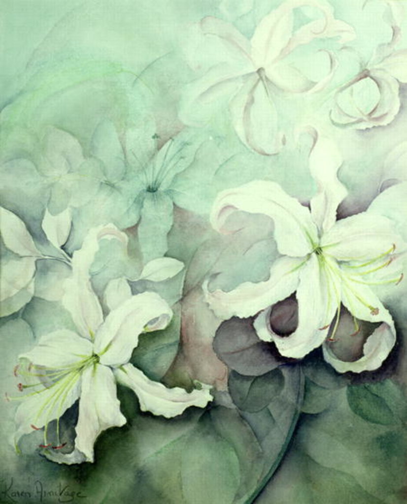 Detail of Lilies, white Auratum by Karen Armitage