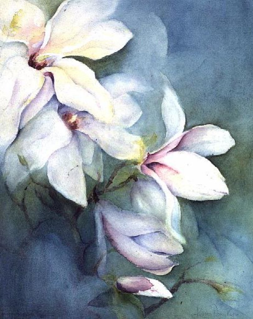 Detail of Magnolia Dedudata by Karen Armitage