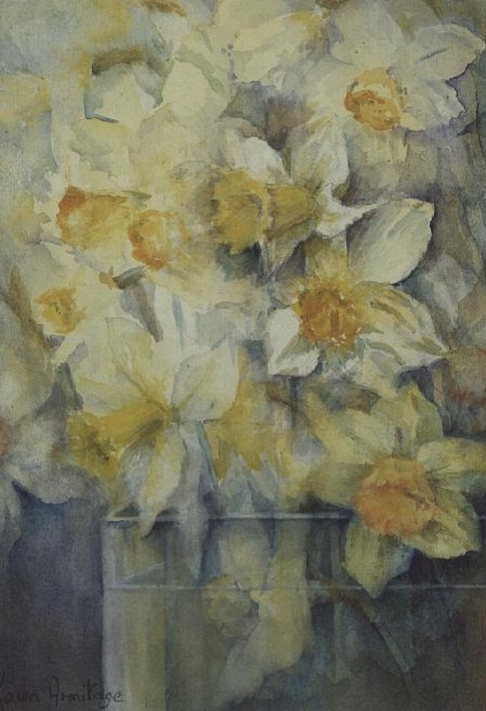 Detail of Spring Time, mixed daffodils in tank No 3., Mrs Krelage, Ice Follies and Fortune by Karen Armitage
