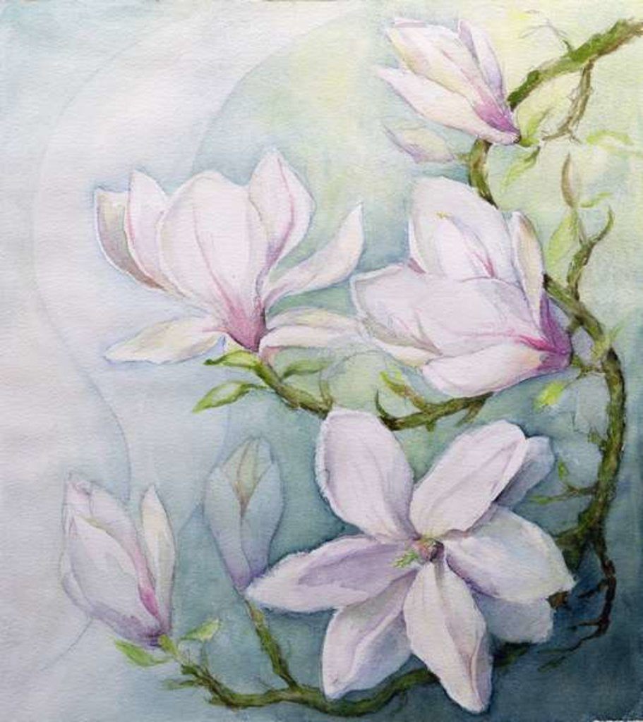 Detail of Magnolias by Karen Armitage