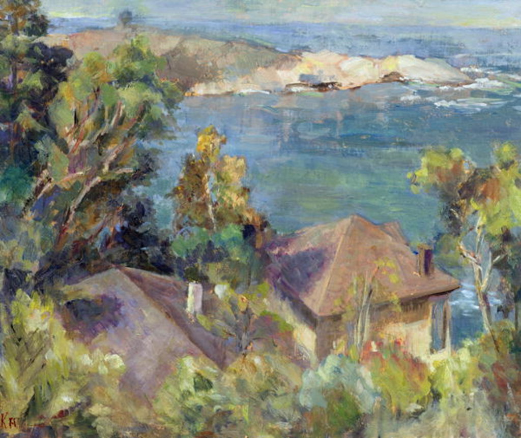 Detail of Zapellar, Chile, 1996 by Karen Armitage