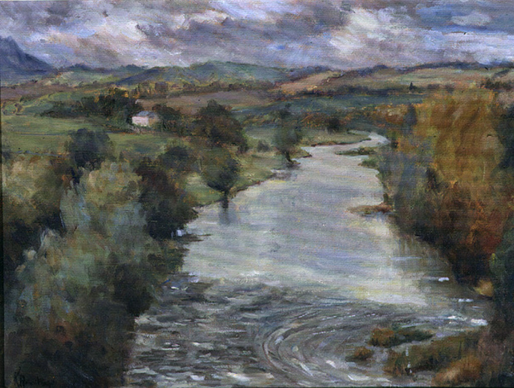 Detail of The River Tweed, Roxburghshire, 1995 by Karen Armitage