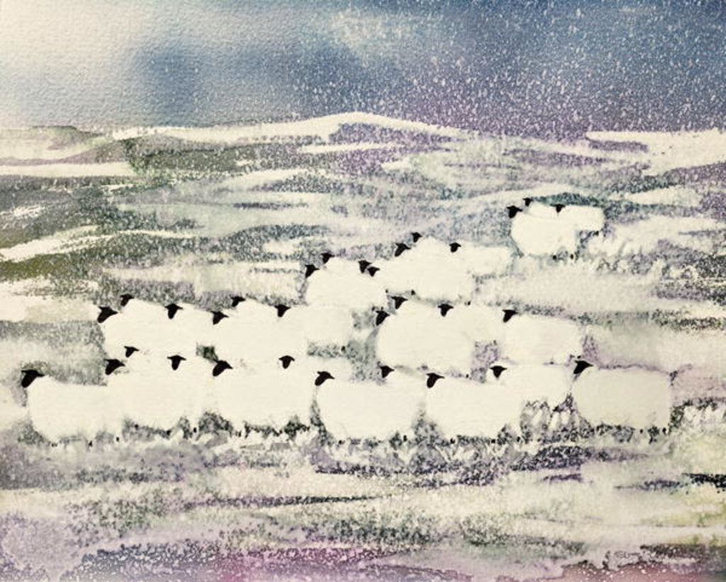 Detail of Sheep in Winter by Suzi Kennett