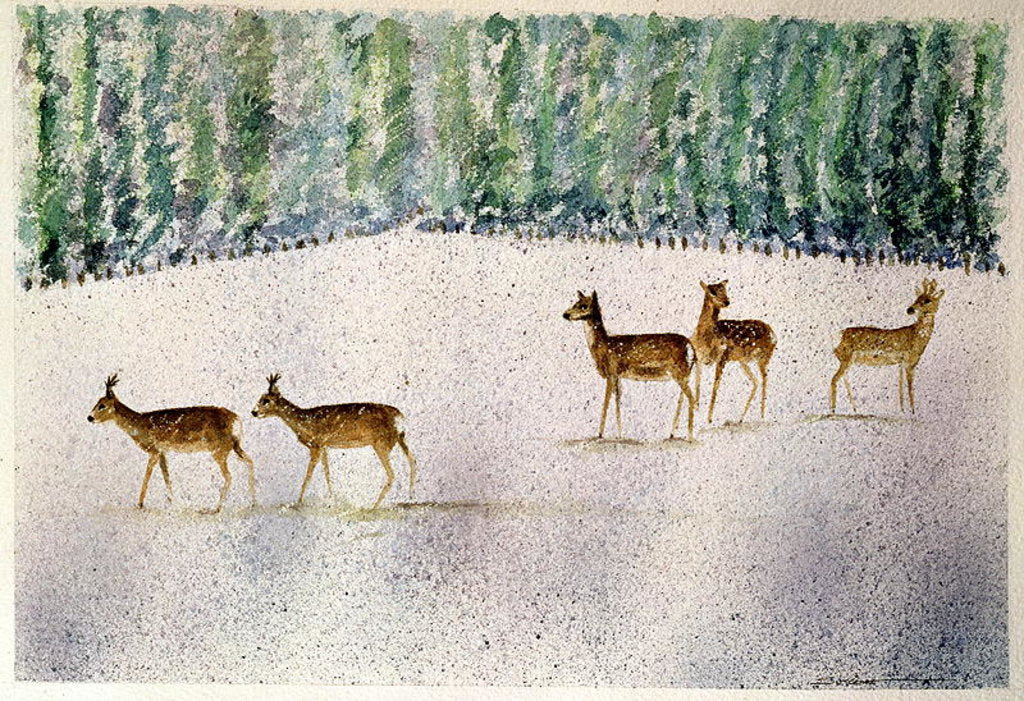 Detail of Deer in Snow by Suzi Kennett