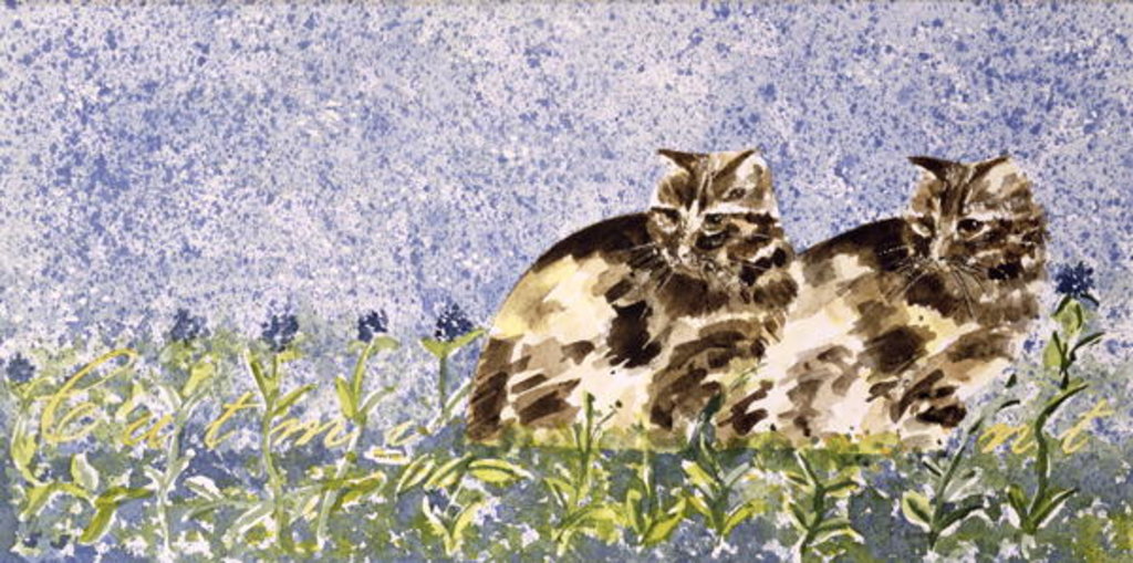 Detail of Cat Mint by Suzi Kennett
