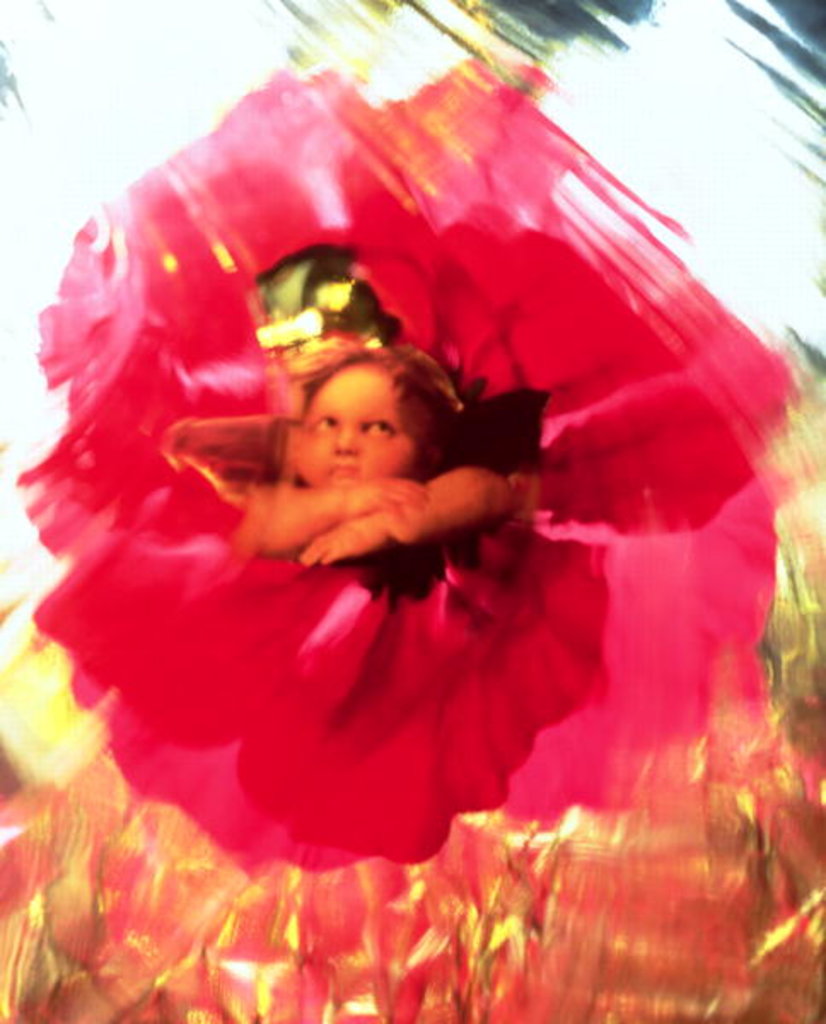 Detail of Angel and Poppy by Katherine Fawssett