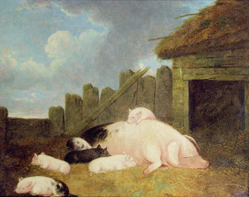 Detail of Sow with Piglets in the Sty by John Frederick Herring Jnr