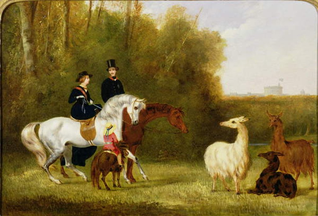 Detail of Queen Victoria, Prince Albert and the Prince of Wales at Windsor Park with their Herd of Llamas by English School