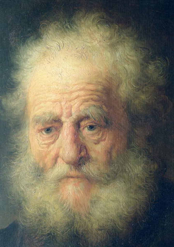 Detail of Bust of an Old Man with a Gold Chain by Rembrandt Harmensz. van Rijn