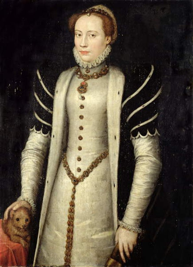 Detail of Portrait of a Noblewoman with a Puppy, 1555 by Anthonis van Dashorst Mor