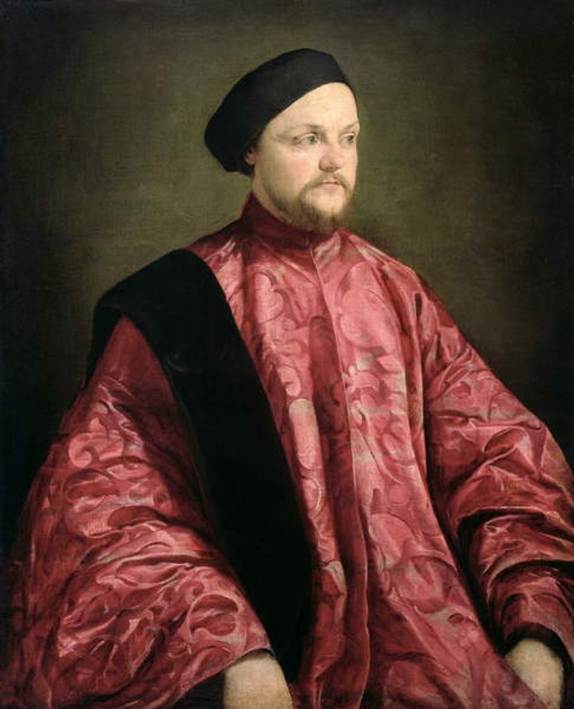 Detail of Portrait of a Venetian Senator, 1540 by Jacopo Bassano