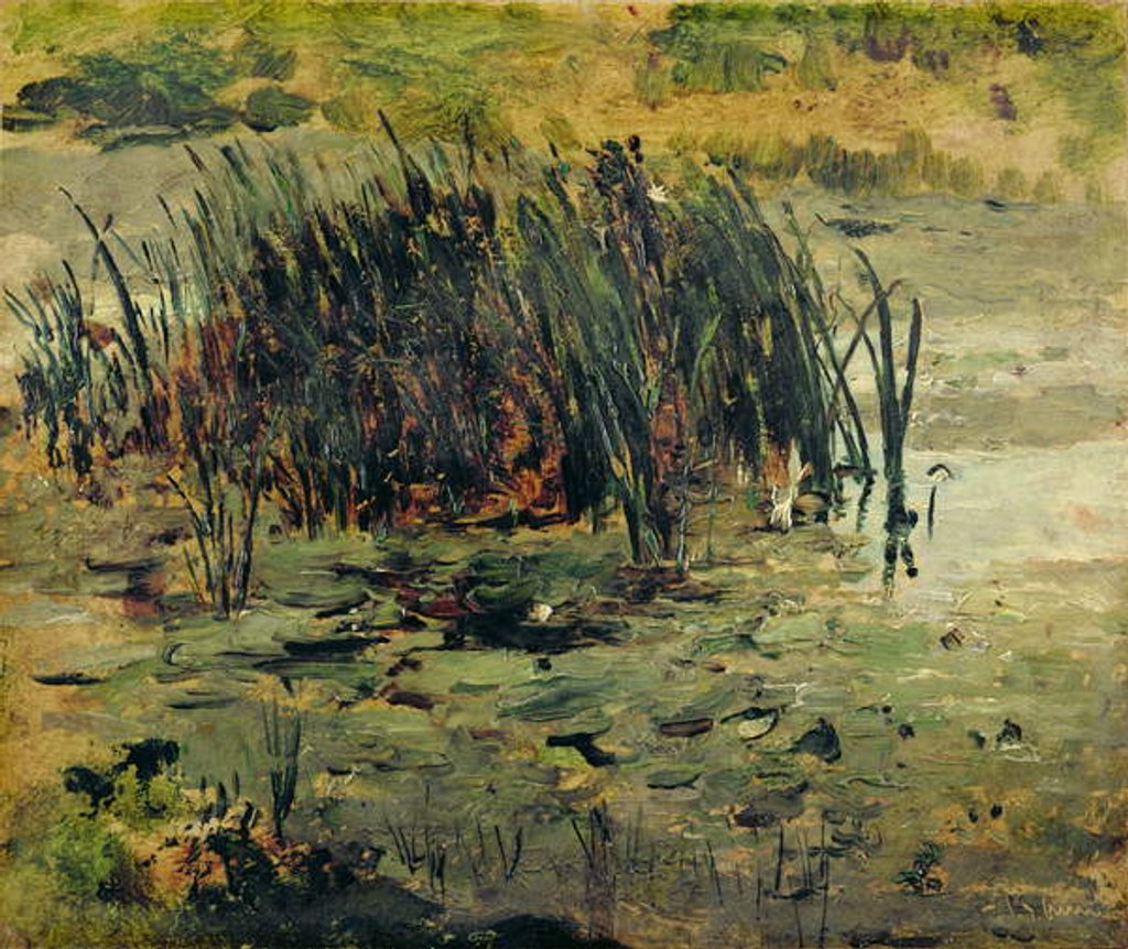 Detail of Reeds in Shallow Water by Paul Baum