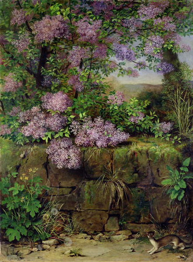 Detail of Blooming Lilacs in front of a Wall by Emilie von der Embde