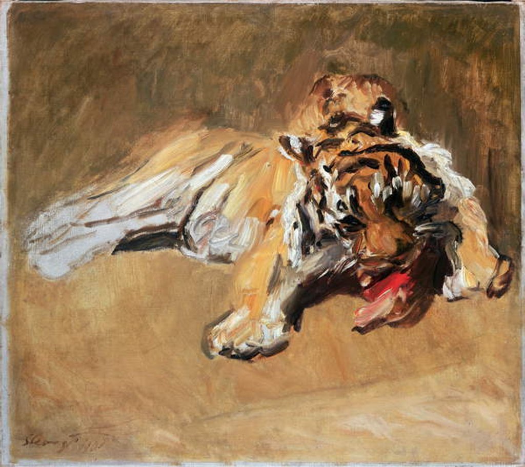 Detail of Feeding Tiger, 1901 by Max Slevogt