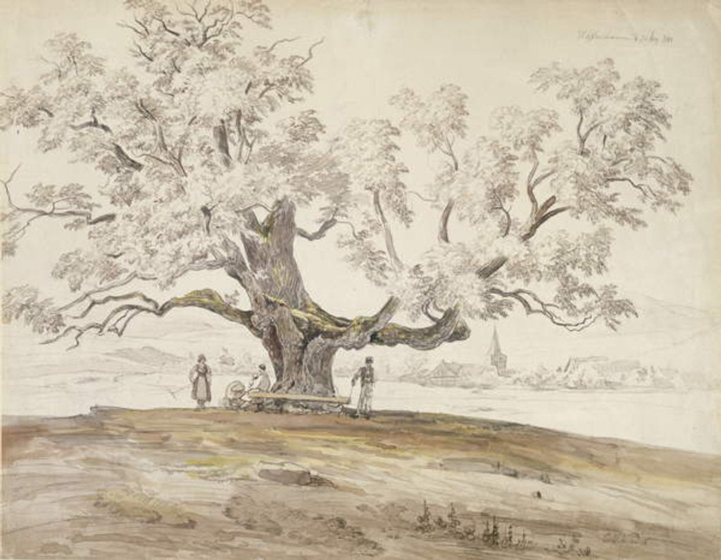 Detail of View of Wolfershausen bei Meiningen with an Old Oak Tree, 1844 by Carl Ernst Ludwig Wagner