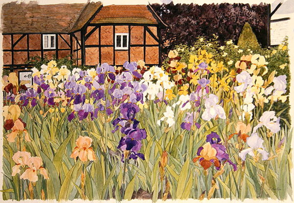 Detail of Irises by Linda Benton