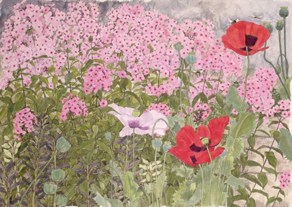 Detail of Poppies and Phlox by Linda Benton